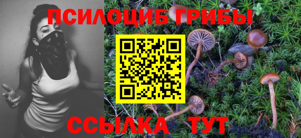 Псилоцибиновые грибы Psilocybine cubensis Ртищево